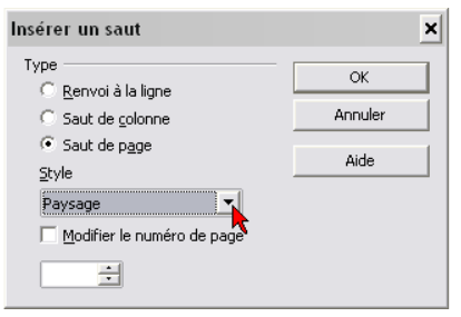 boite dialogue saut de page manuel